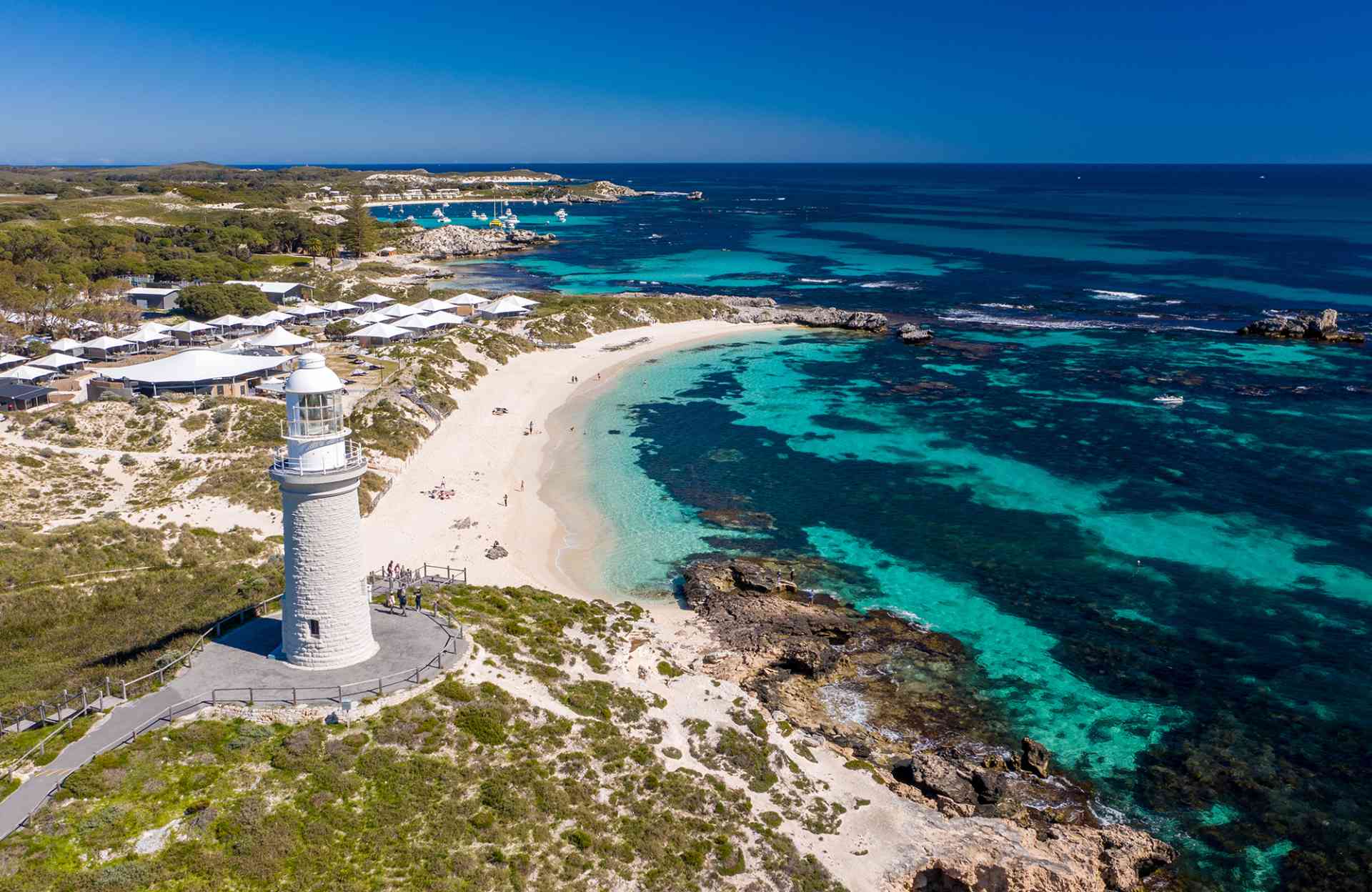 Underwater scene showcasing vibrant coral reefs and diverse marine life off the coast of Rottnest Island, perfect for snorkeling and diving enthusiasts.
