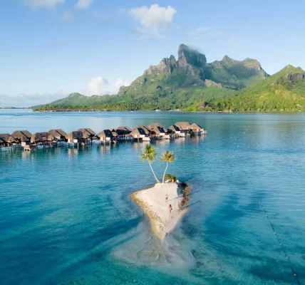Conservation Efforts in Bora Bora