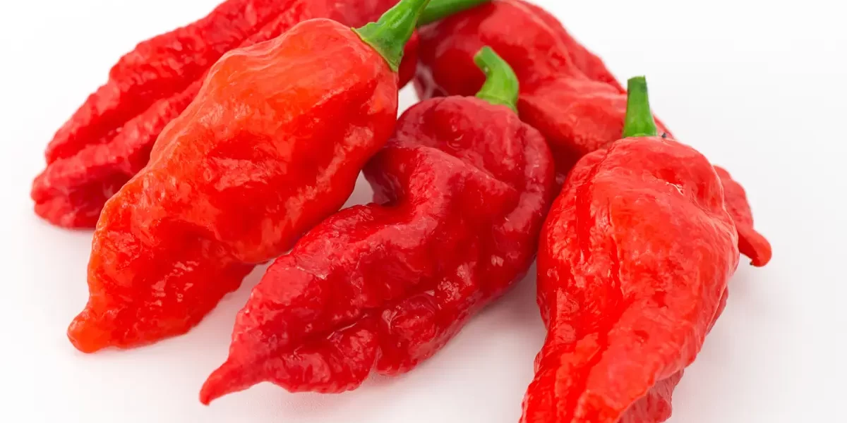 Ghost Pepper Products