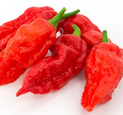 Ghost Pepper Products