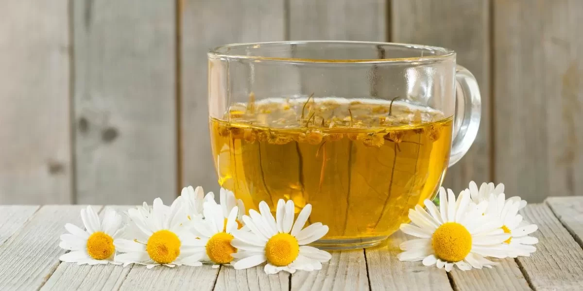 Chamomile Tea Heart Health Benefits