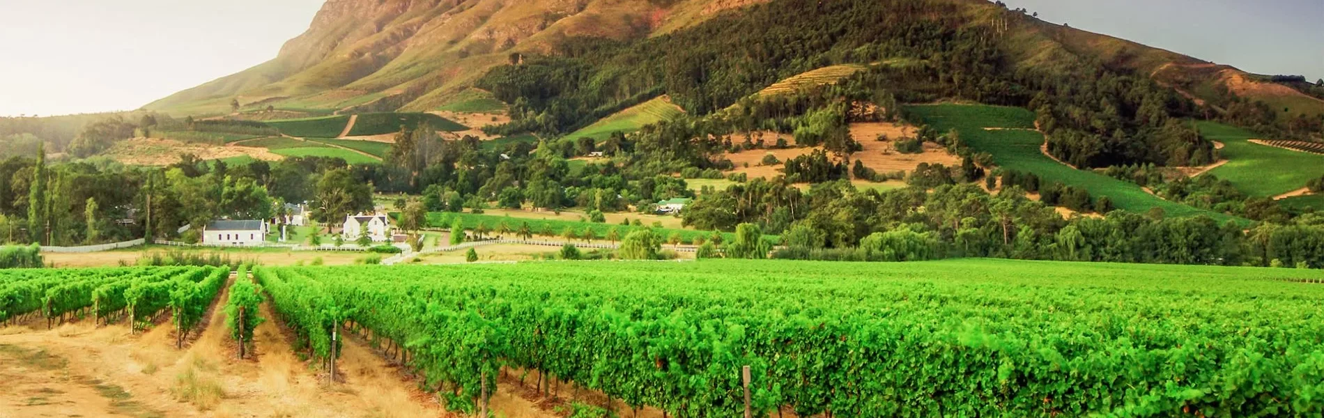 Franschhoek Discovering South Africa’s Wine Country