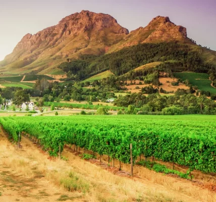 Franschhoek Discovering South Africa’s Wine Country