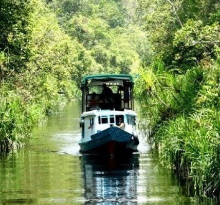 Taman Nasional Tanjung Puting