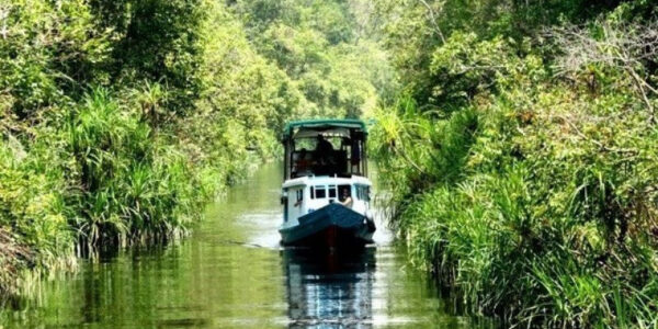 Taman Nasional Tanjung Puting