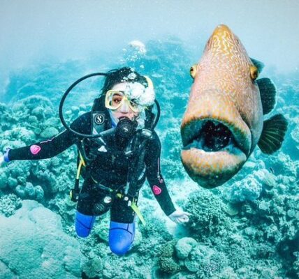 great-barrier-reef-keajaiban-alam-yang-mengagumkan