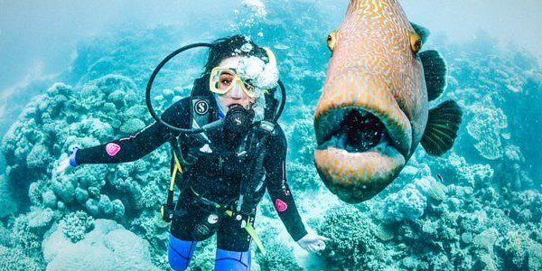 great-barrier-reef-keajaiban-alam-yang-mengagumkan