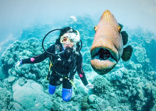 great-barrier-reef-keajaiban-alam-yang-mengagumkan