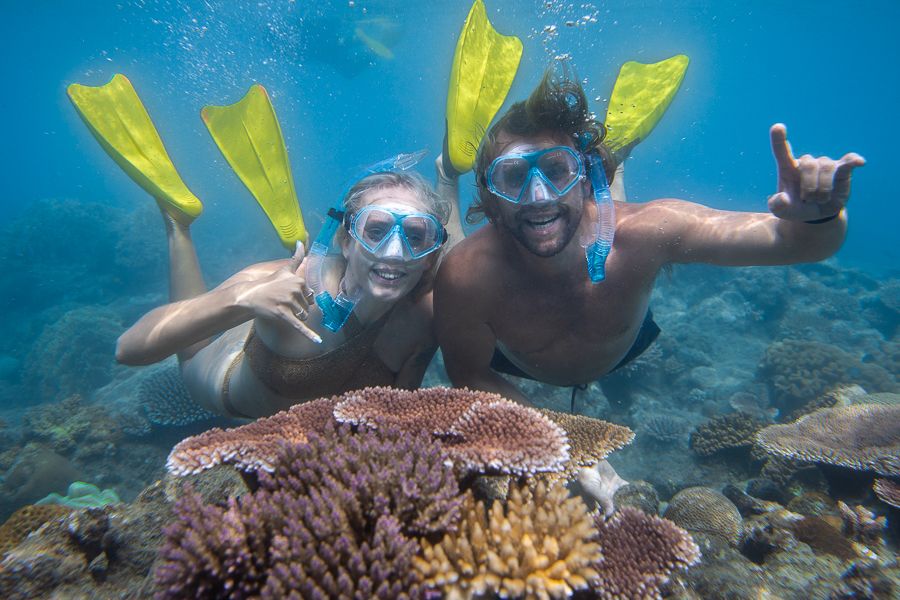 great-barrier-reef-keajaiban-alam-yang-mengagumkan