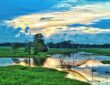 Scenic view of Majuli Island's lush green landscapes and wetlands