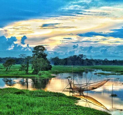 Scenic view of Majuli Island's lush green landscapes and wetlands