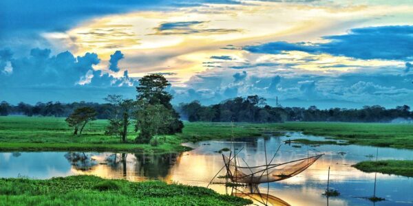 Scenic view of Majuli Island's lush green landscapes and wetlands