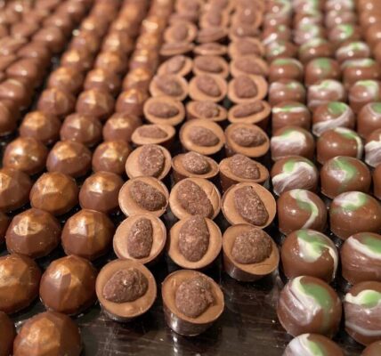 Chocolate Pralines