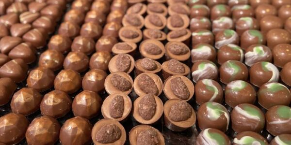 Chocolate Pralines