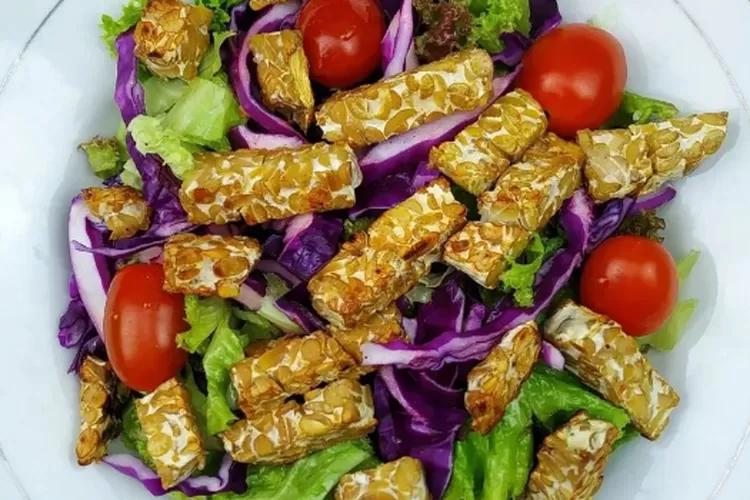 salad-tempe-pilihan-sehat-dan-lezat-untuk-gaya 