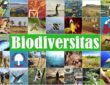 Biodiversitas Indonesia