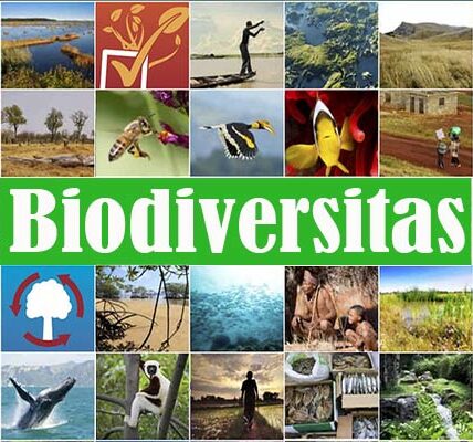 Biodiversitas Indonesia