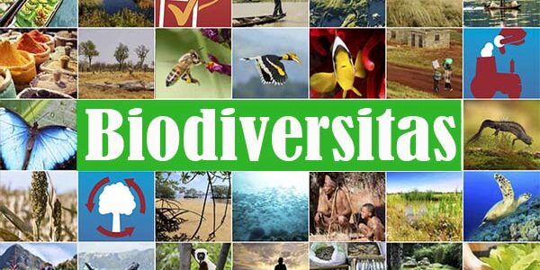 Biodiversitas Indonesia