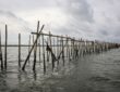 Foto pagar laut modern yang terpasang di sepanjang garis pantai untuk mencegah abrasi