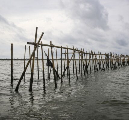 Foto pagar laut modern yang terpasang di sepanjang garis pantai untuk mencegah abrasi