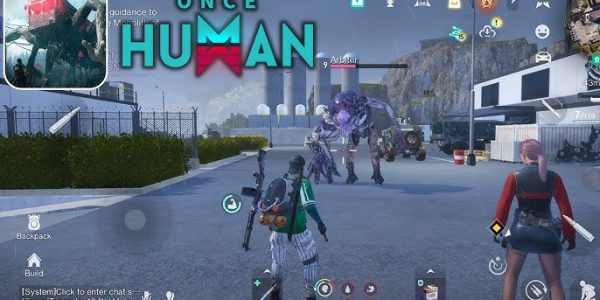 Once Human